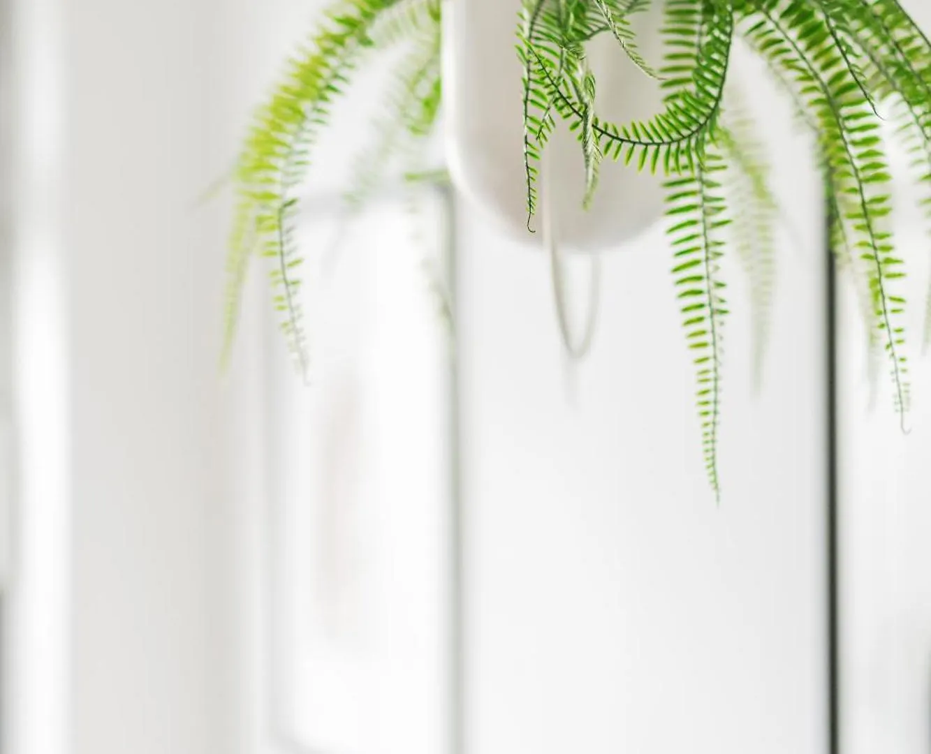 Appartamento Design Loft Im Souterrain In Top Lage Vienna
